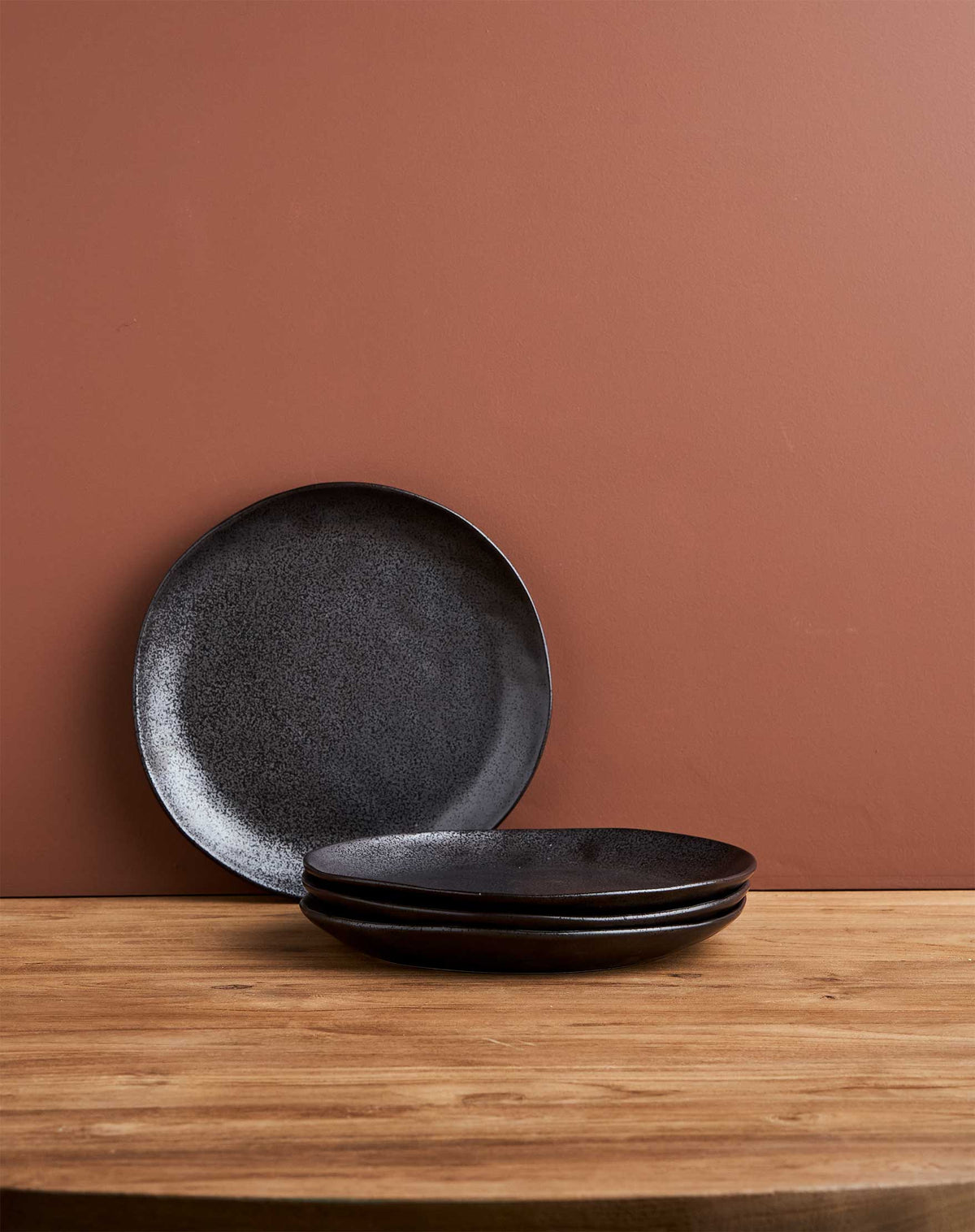 Earth Dinner Plates / Black