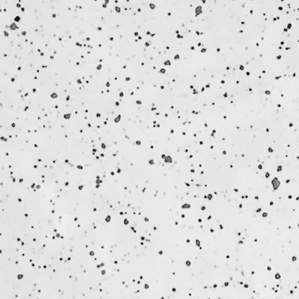 White Granite