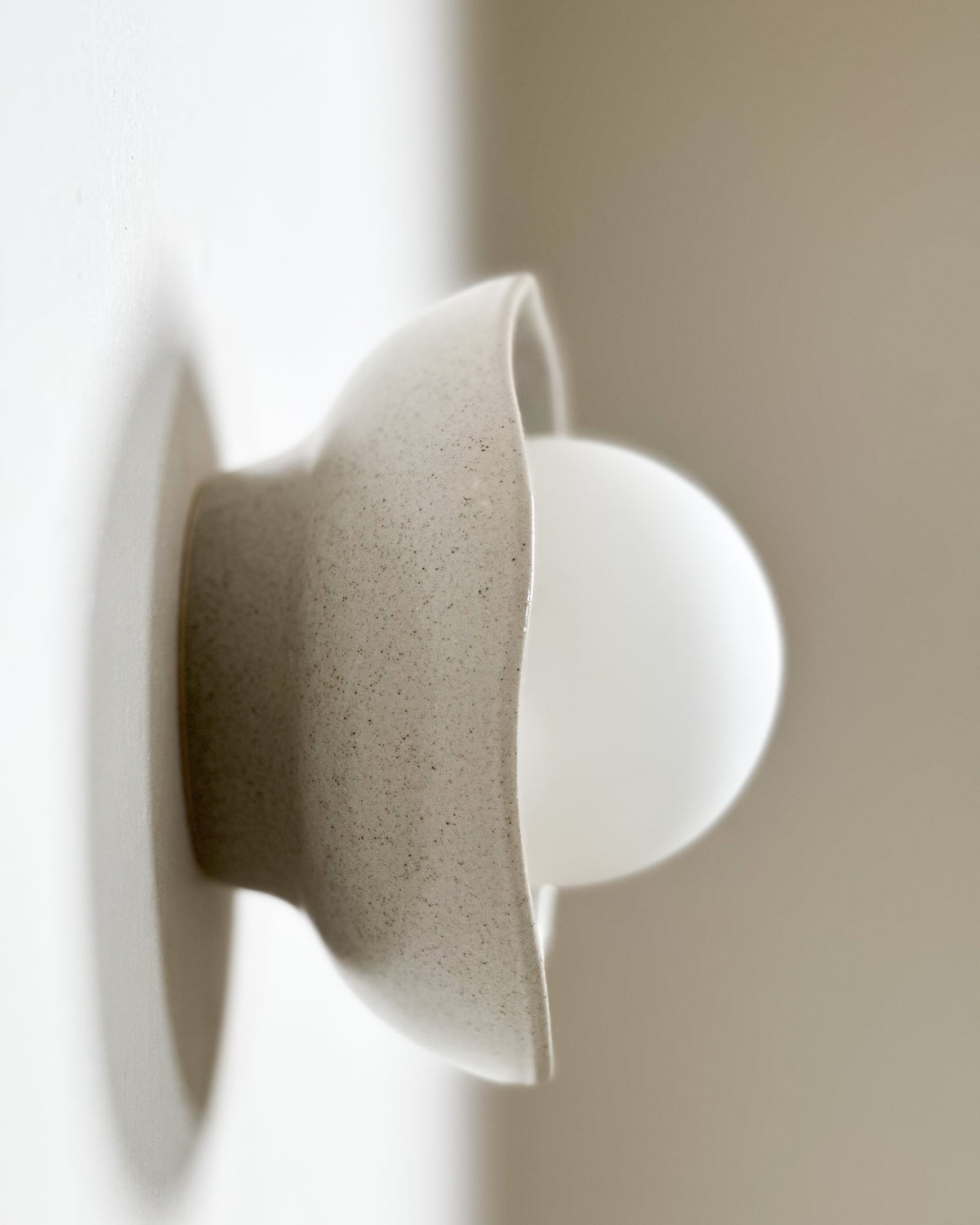 Shell Sconce Light in Shale