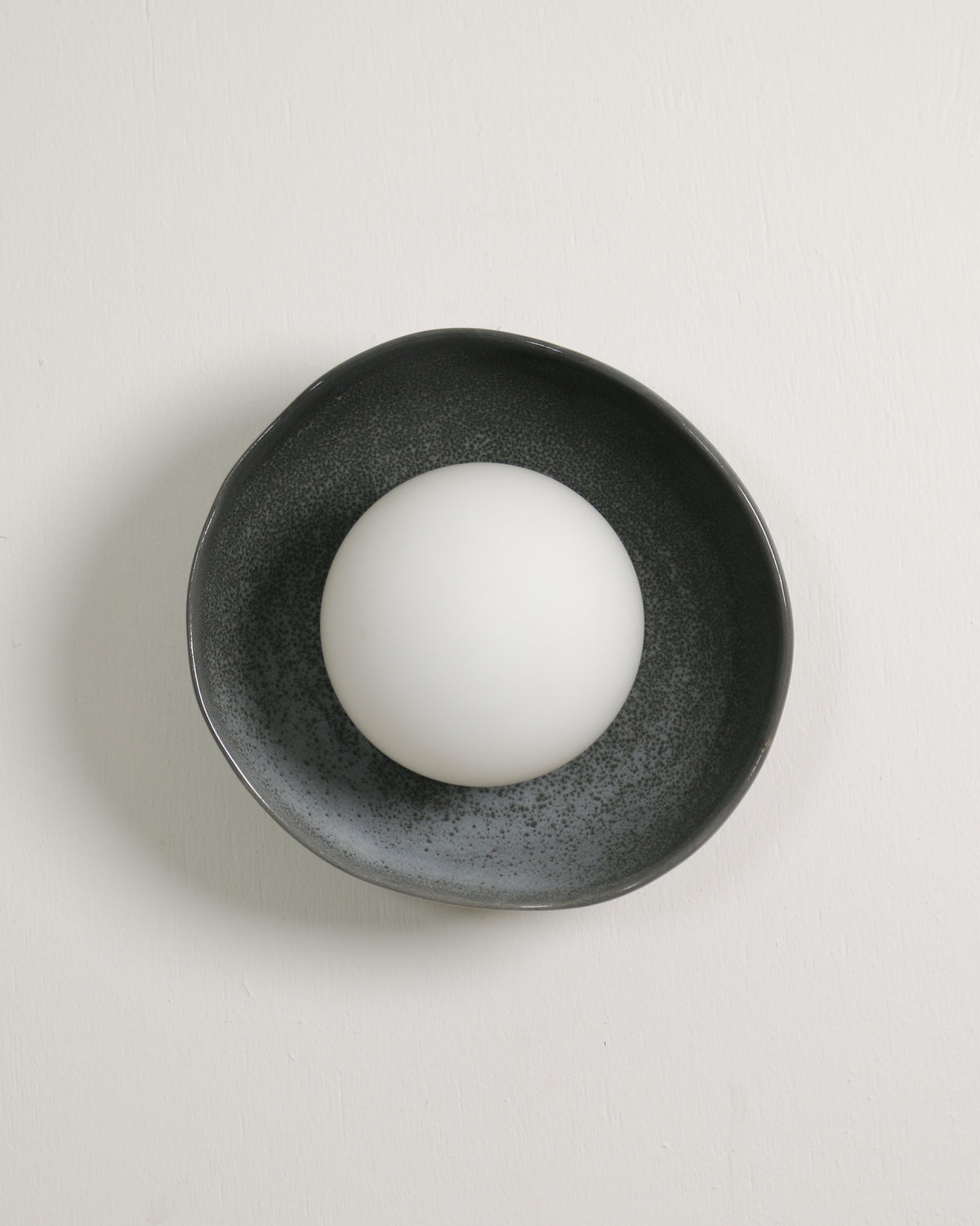 Shell Sconce Light in Storm