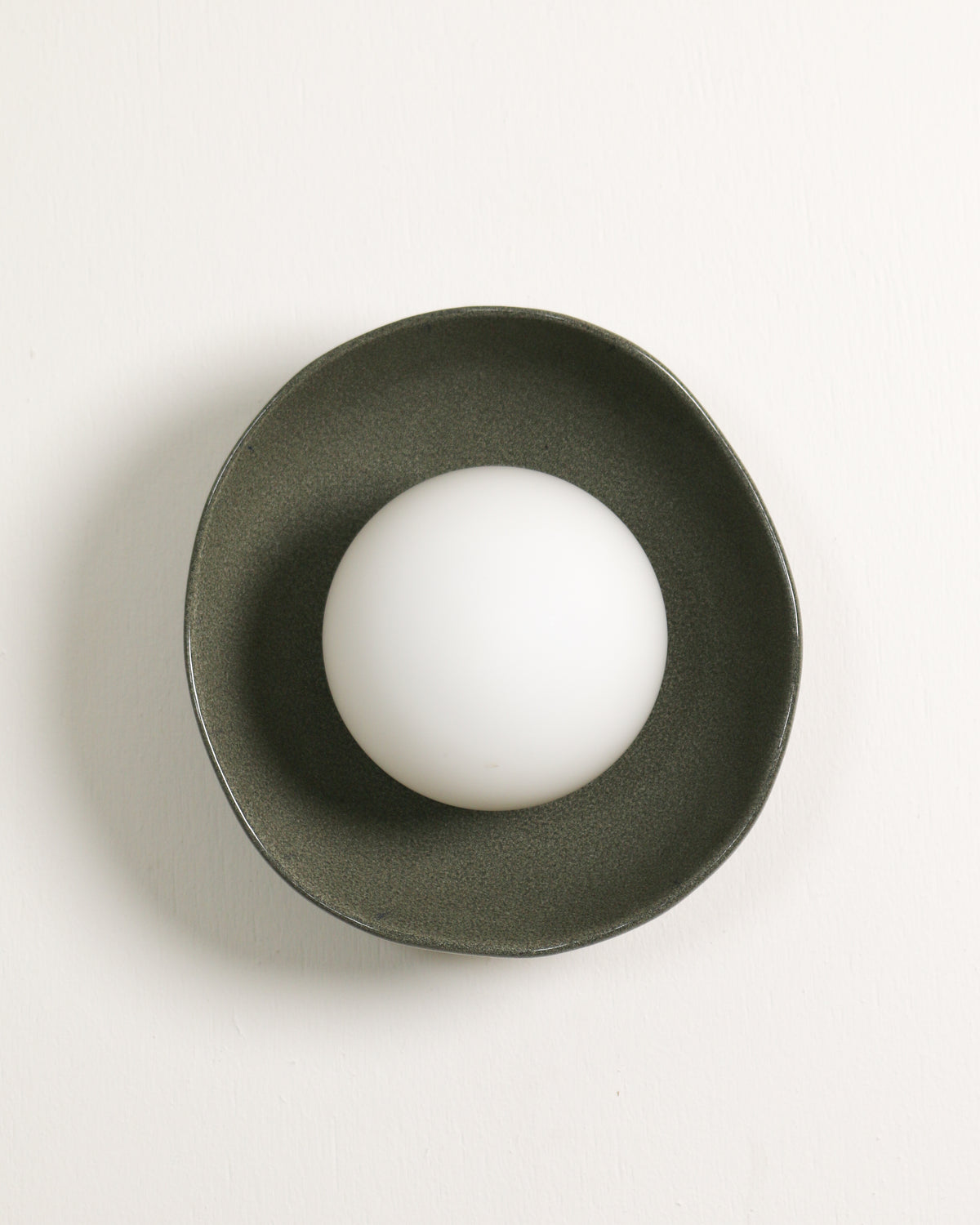 Shell Sconce Light in Rivergum