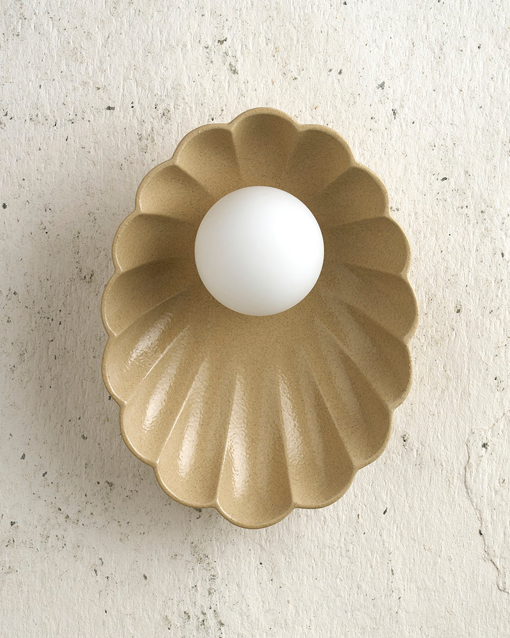 Oyster Sconce Light in Sand