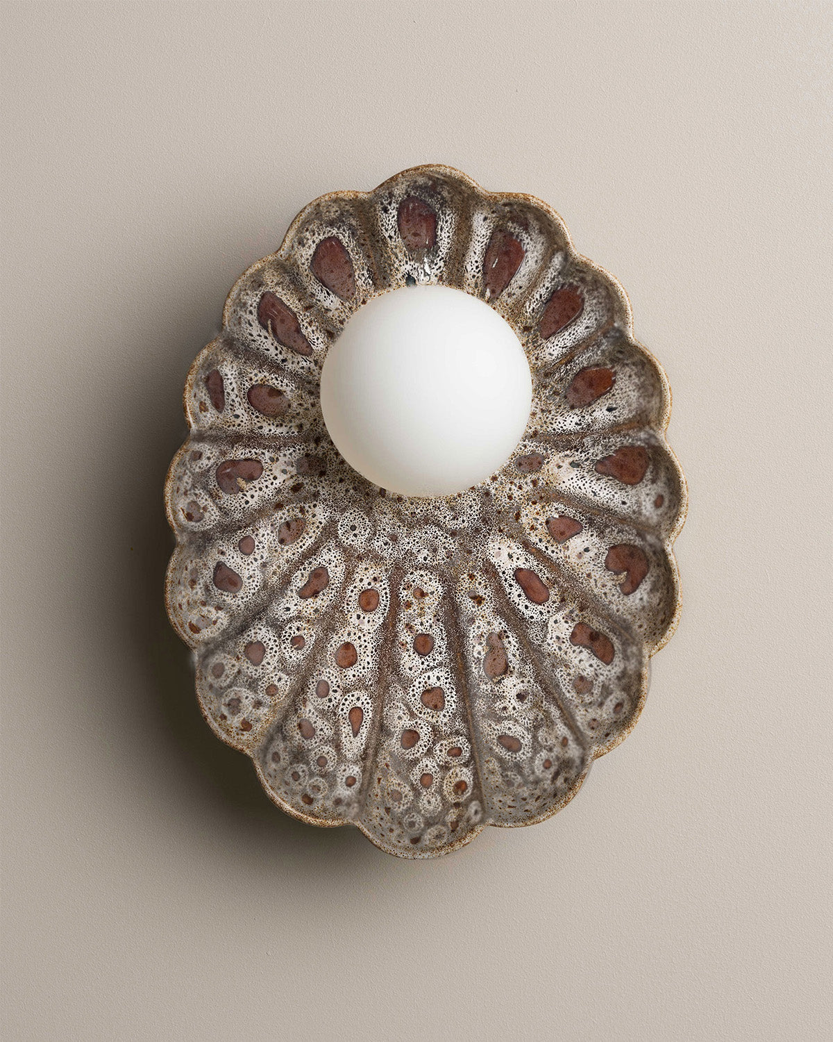 Oyster Wall Sconce in White Ochre