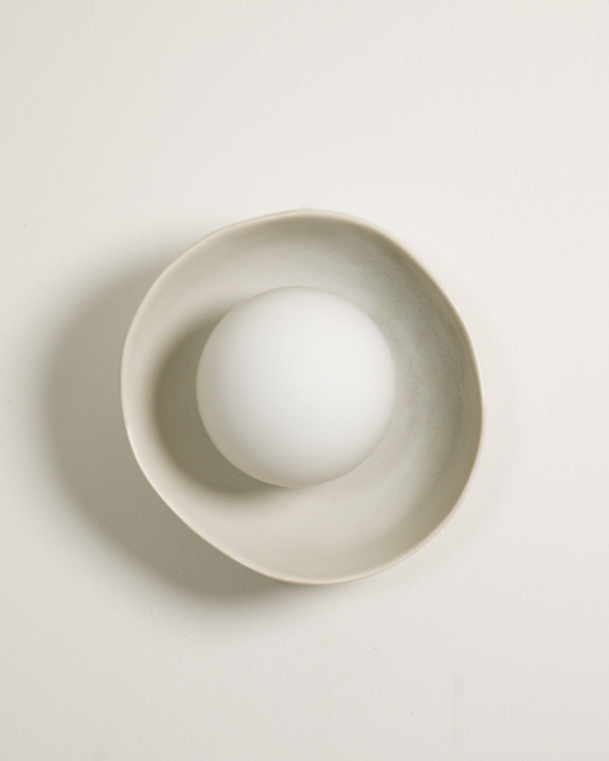 Shell Sconce Light in Coast