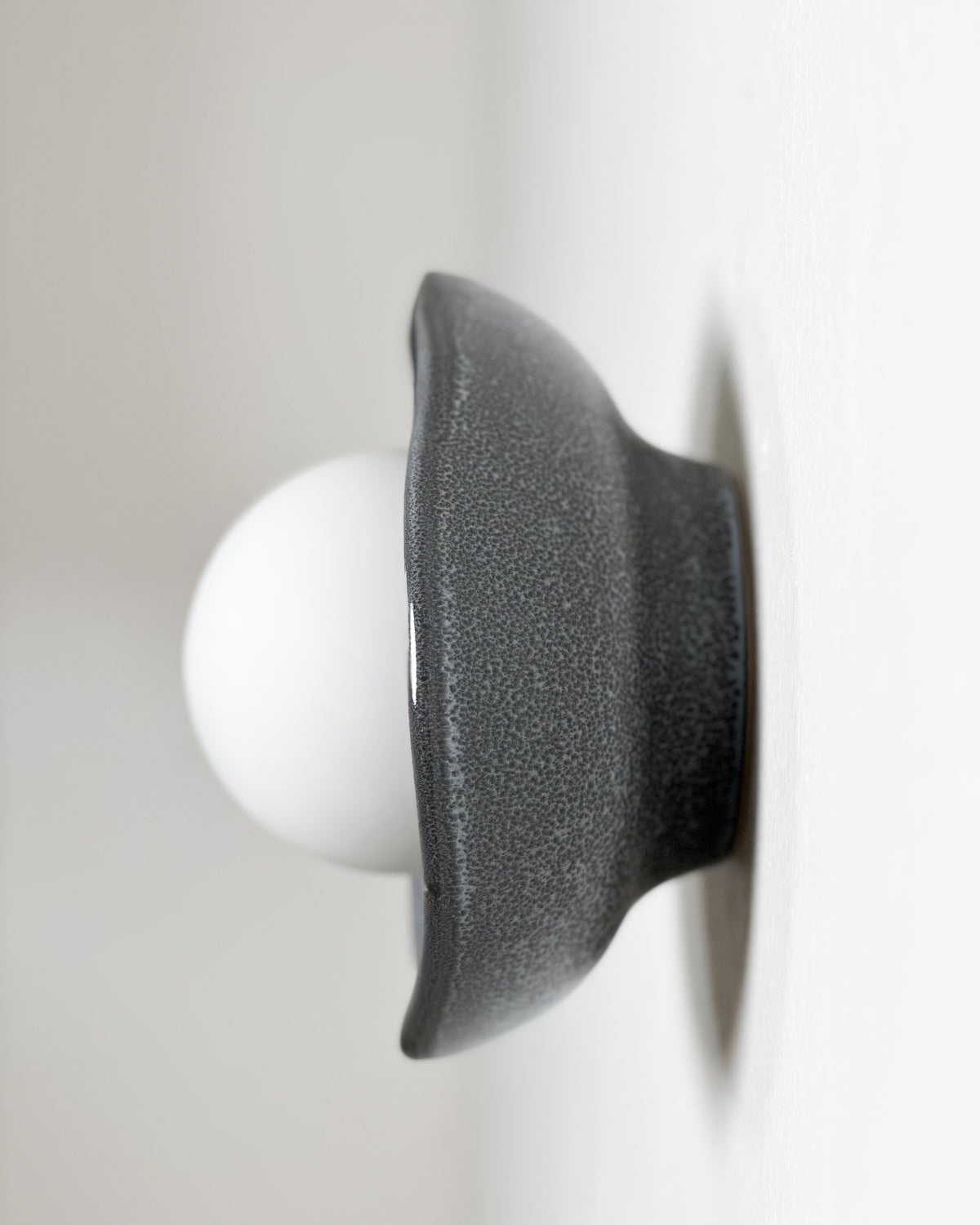 Shell Sconce Light in Storm