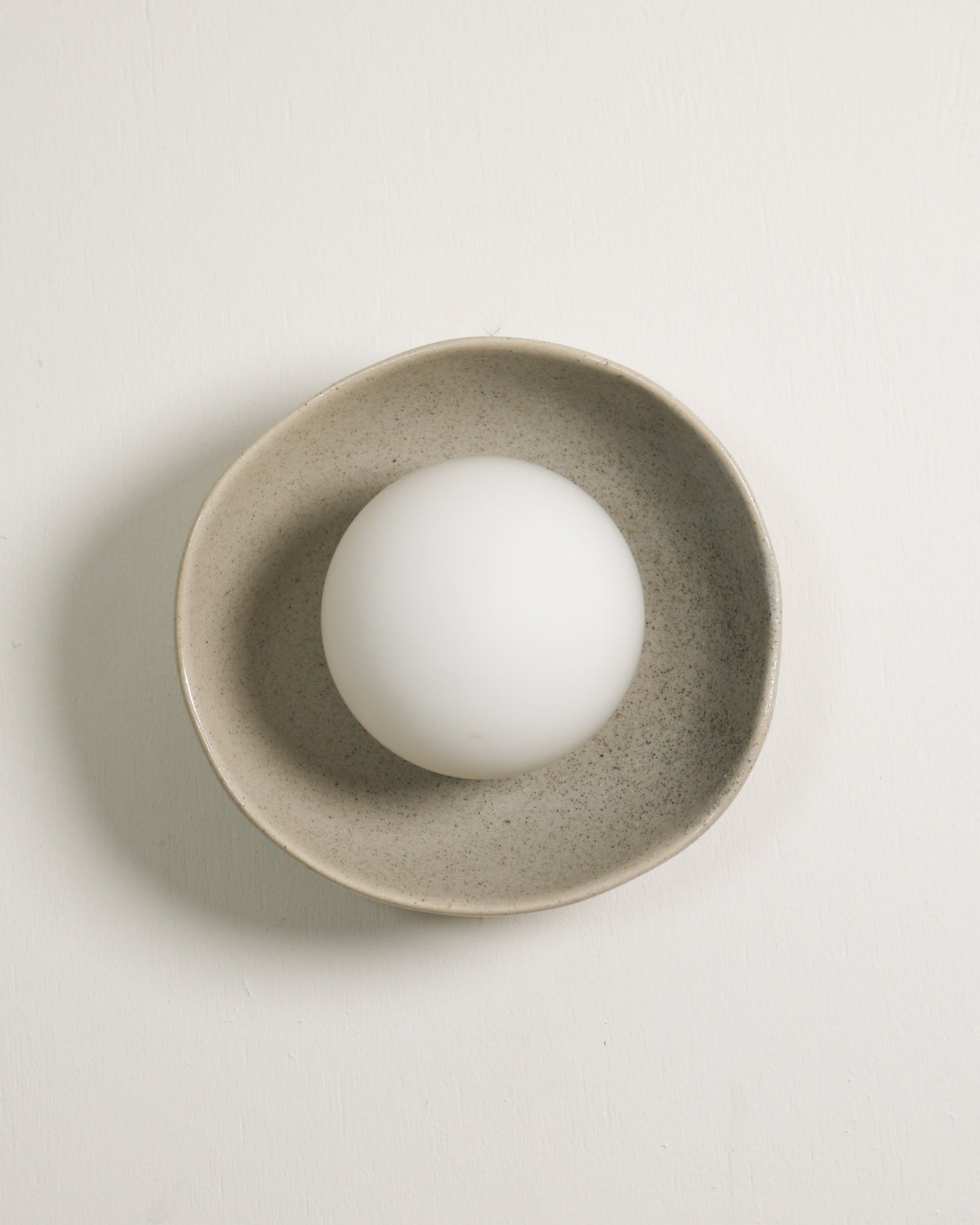 Shell Sconce Light in Shale