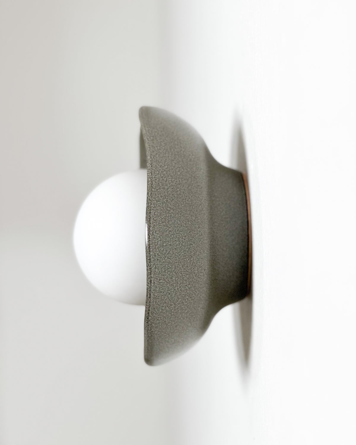 Shell Sconce Light in Rivergum