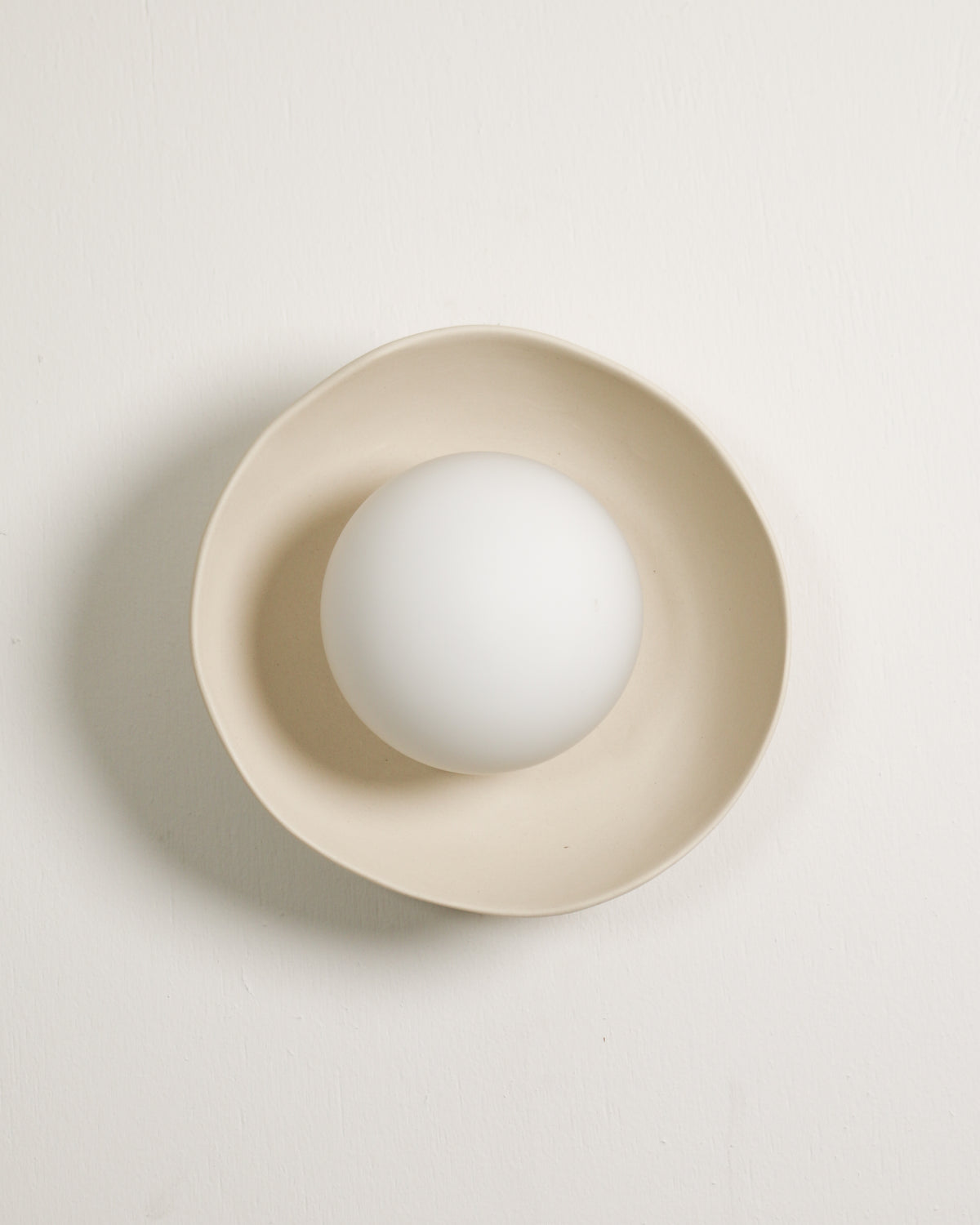 Shell Sconce Light in Bone