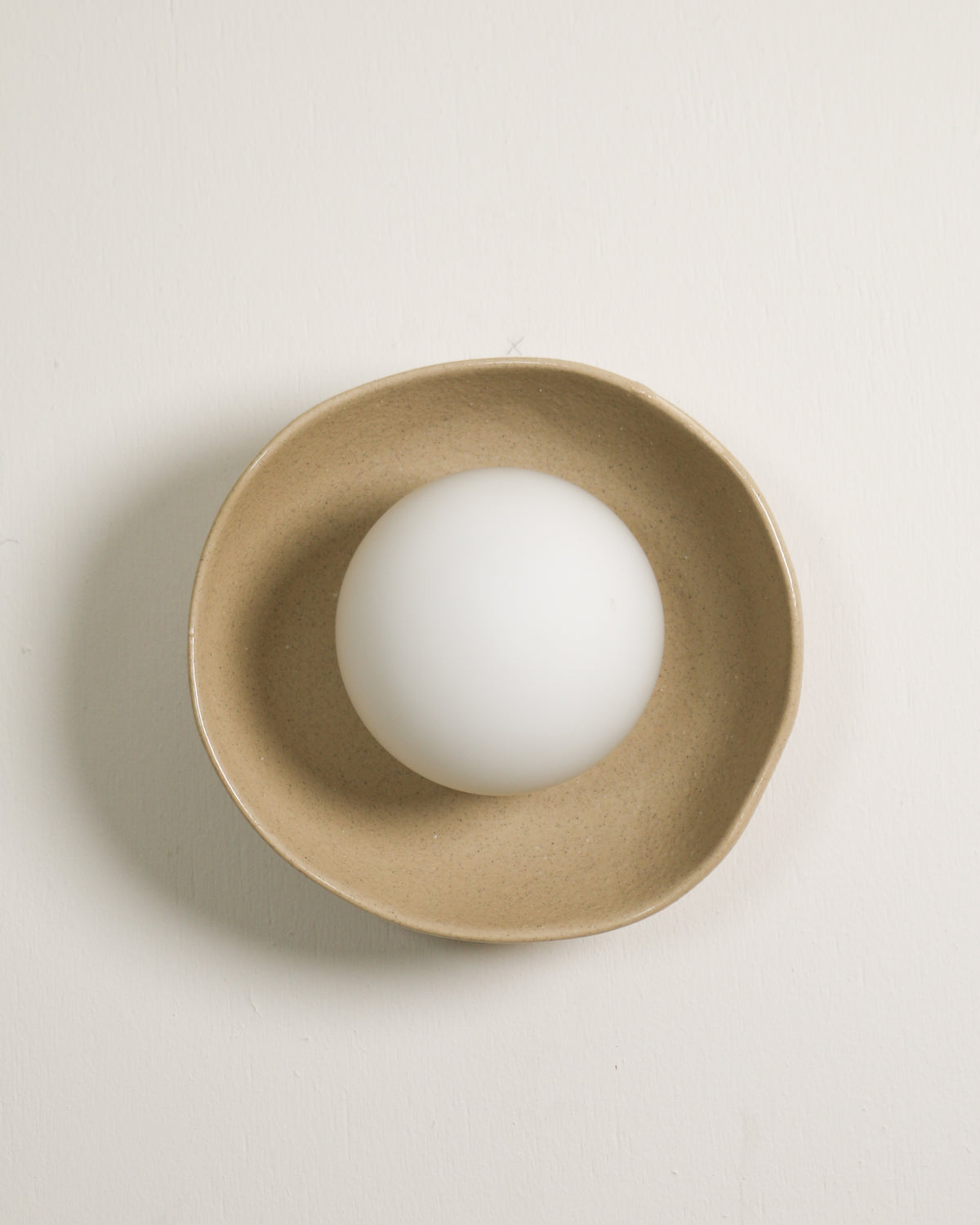 Shell Sconce Light in Sand