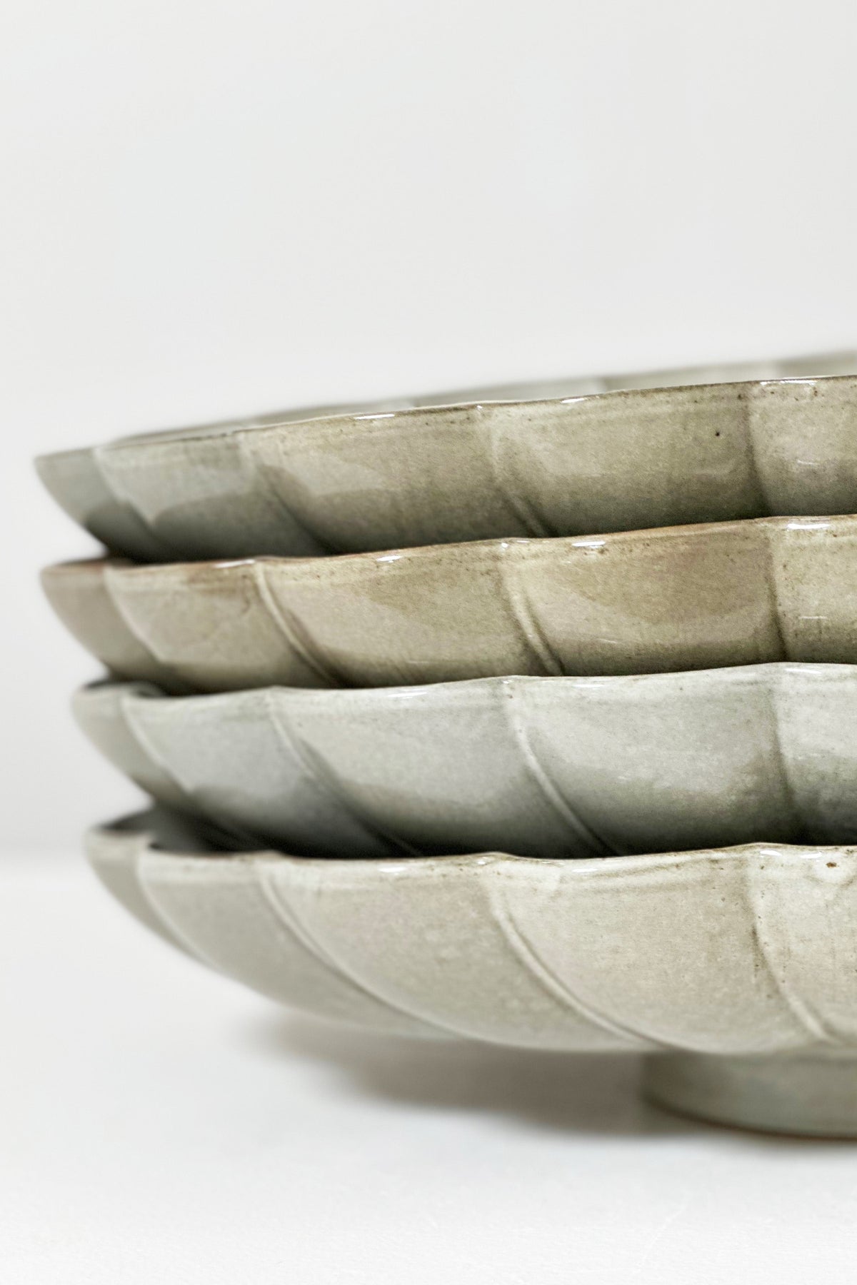 Oyster Wall Sconce in Saltbush