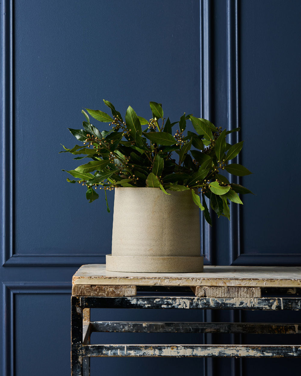 Garden To Table Planter with Tray