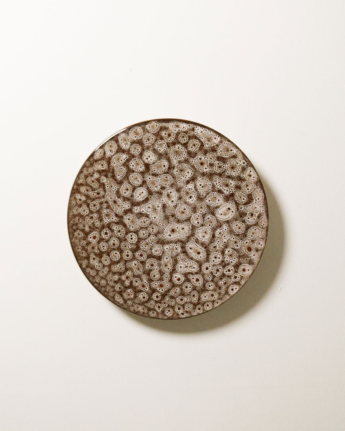 Large Backlit Disc Wall Light in White Ochre