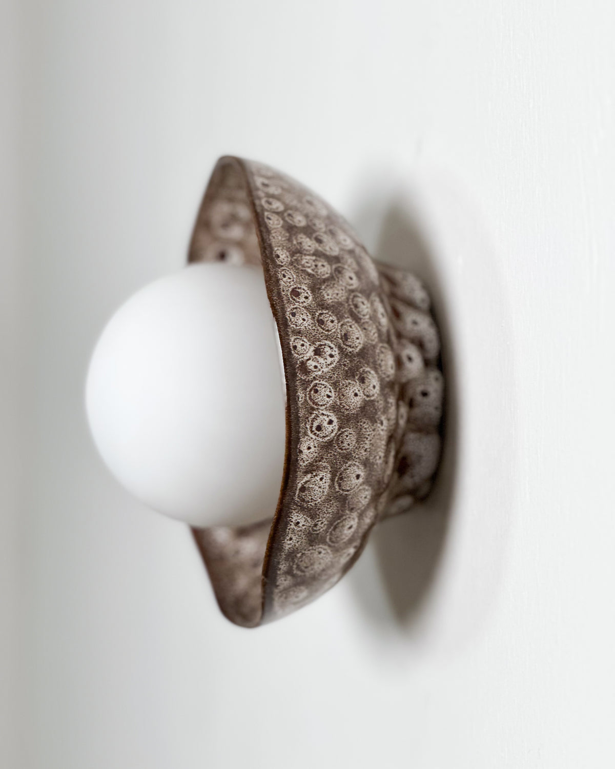 Shell Sconce Light in White Ochre