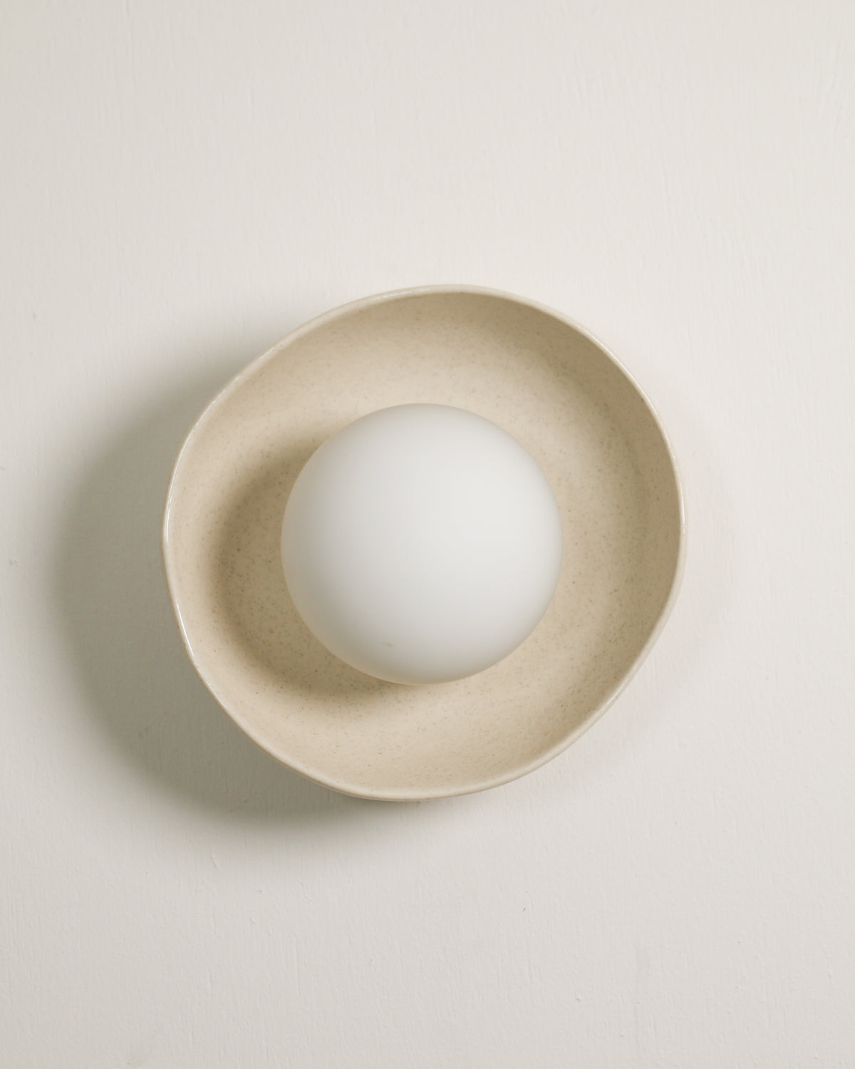 Shell Sconce Light in Poppyseed