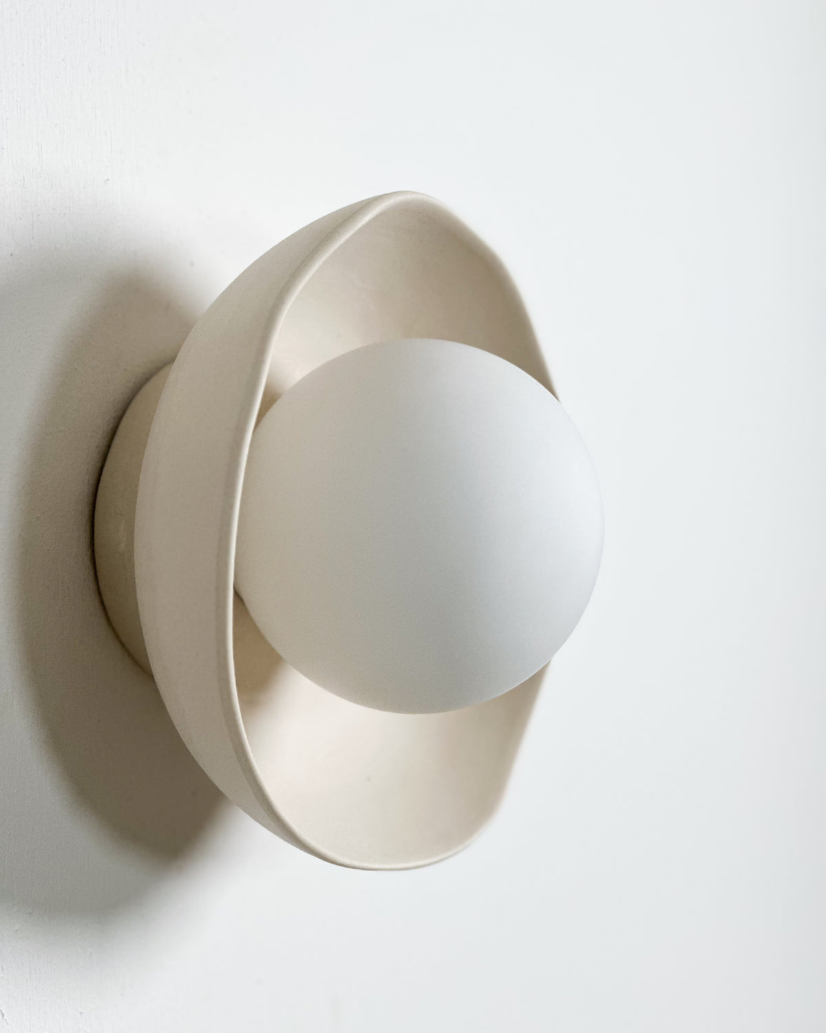 Shell Sconce Light in Bone