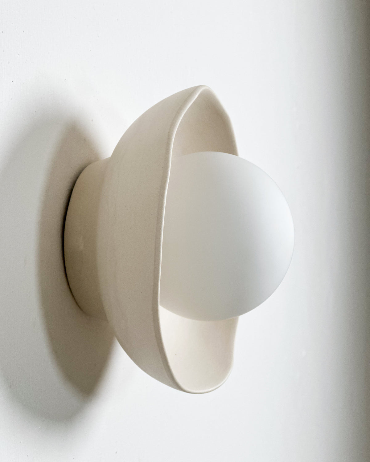 Shell Sconce Light in Bone
