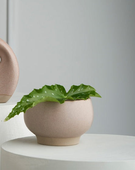 Ikebana Vase / Marle Blush