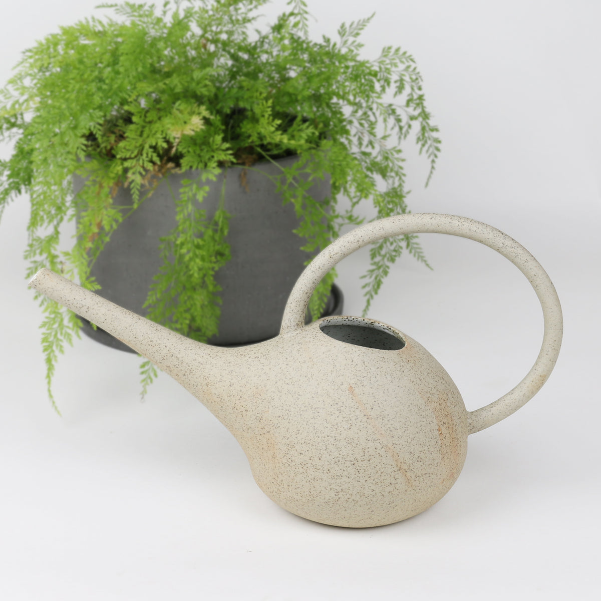 Garden to Table Watering Can