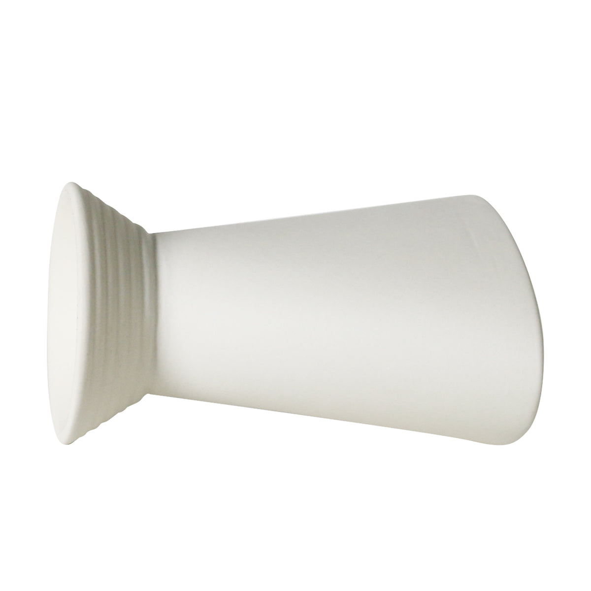 The Arrangement / Scallop Vase