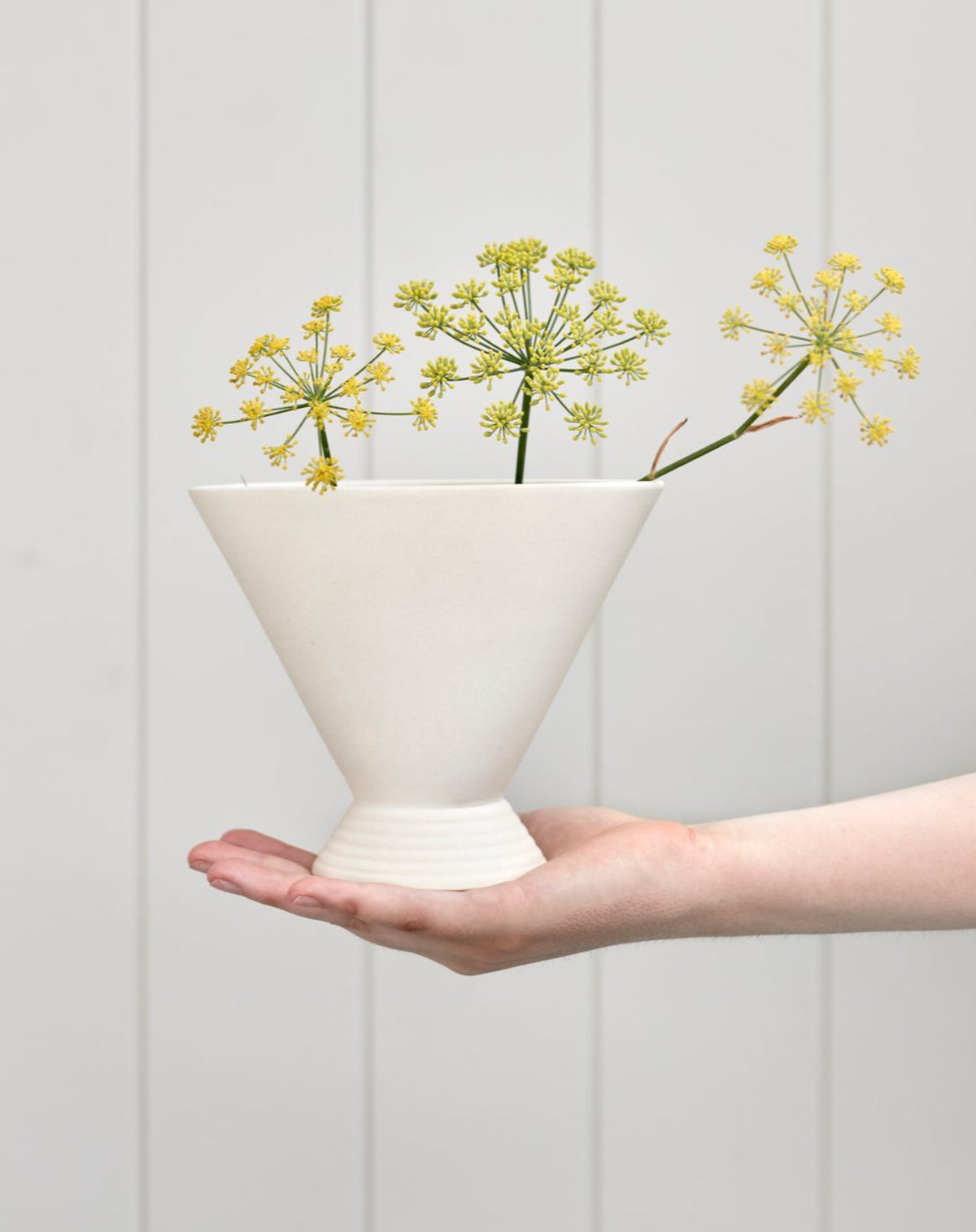 The Arrangement / Scallop Vase