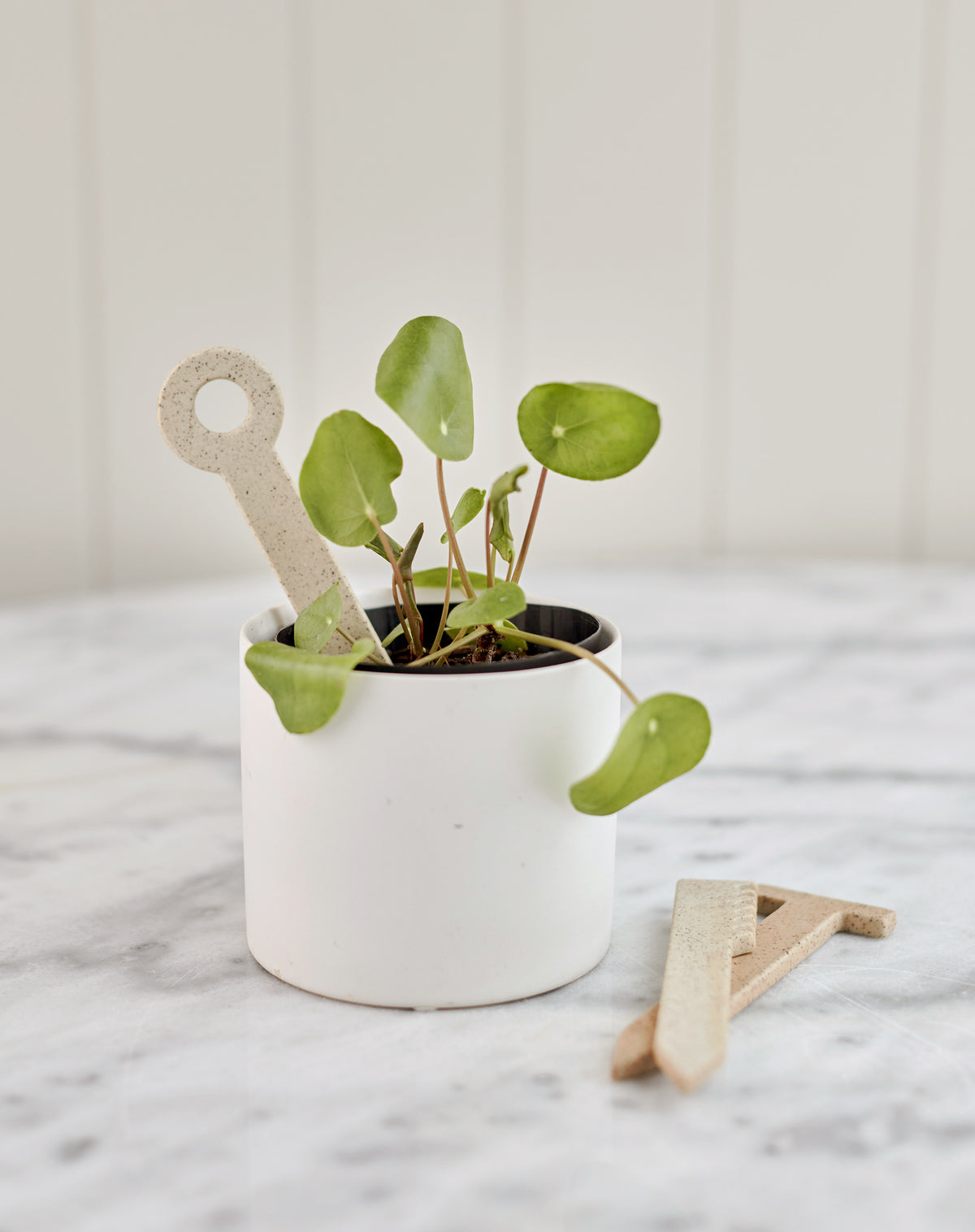 Handy Little Things Herb Stakes