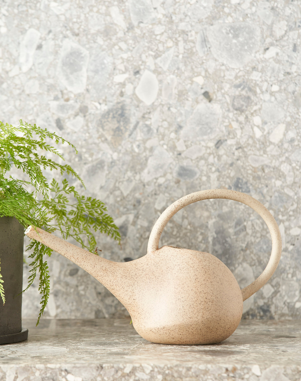 Garden to Table Watering Can